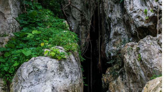 Nowe gatunki czaiły się tuż pod ziemią. Turkusowa..