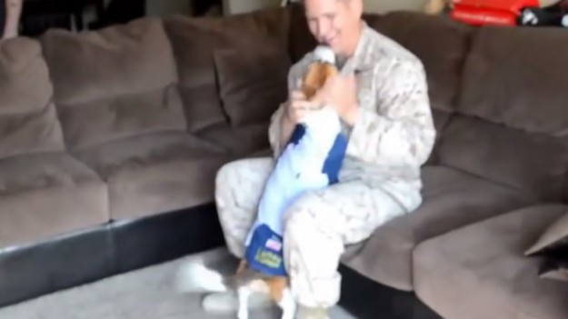 RMF Extra: Tak cieszą się pieski! 