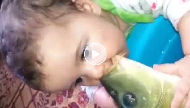 RMF Extra: Przedświąteczny karp: To się nazywa miłość!