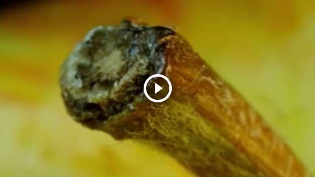 RMF Extra: Ile przedmiotów Ty odgadniesz?! 