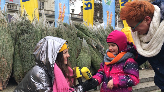 RMF Extra: Choinki pod choinkę: Lanberry rozdaje świąteczne drzewka w Poznaniu!