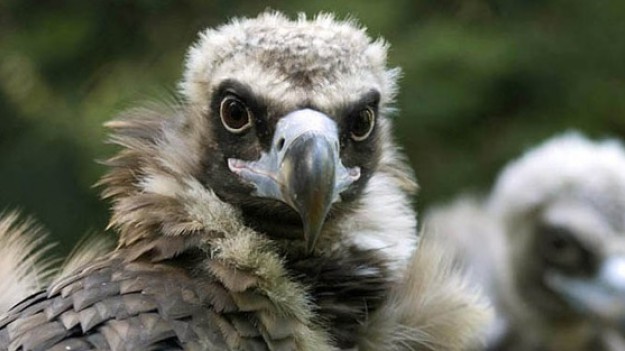 RMF Extra: Rzuć eks na pożarcie: "Za każdym razem, kiedy wracałem do domu z wypłatą, patrzyła na mnie jak sęp"!