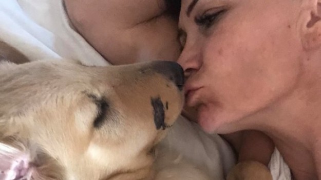 RMF Extra: Bohaterski szczeniak! Pies uratował właścicielkę przed ukąszeniem jadowitego węża