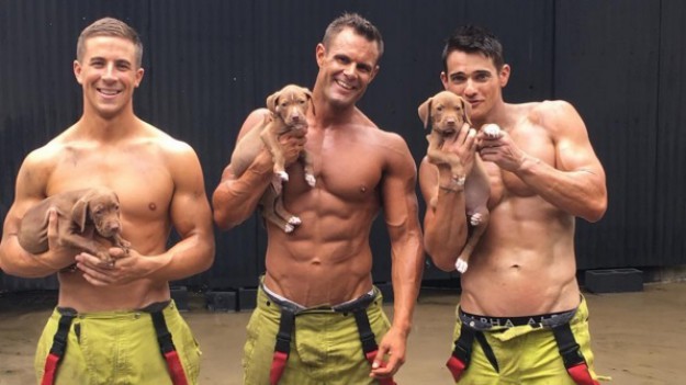 RMF Extra: Umięśnieni, przystojni mężczyźni ze słodkimi szczeniaczkami w gorącej sesji... W szczytnym celu!