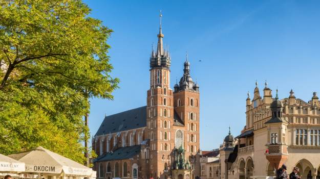 RMF Extra: Odwrócona betonoza w Krakowie. Na Rynku Głównym wkrótce mogą pojawić się drzewa