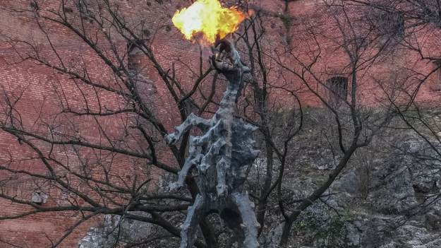 RMF Extra: Kot postanowił zastąpić smoka w jamie na Wawelu. Konieczna była pomoc służb