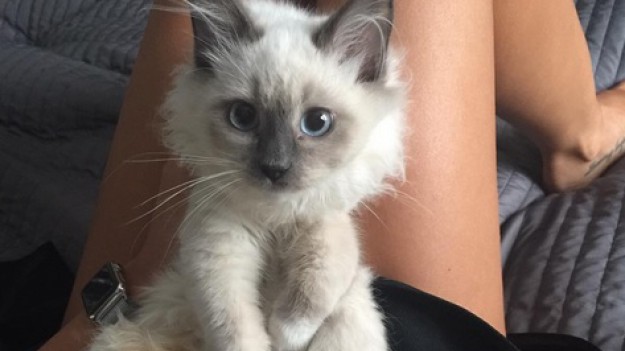 RMF Extra: Prezenty gwiazd 