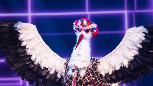 RMF Extra: "Mask Singer". Kim jest Bocian? Widzowie są pewni. "Nie da się nie poznać tego głosu"