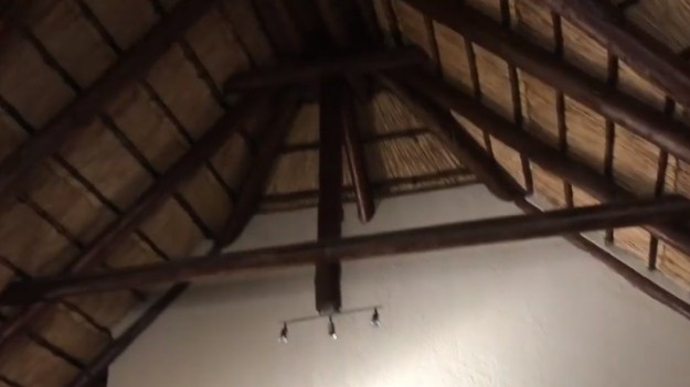 RMF Extra: Nietypowy gość. Na jego kanapie pojawił się lokator, który spadł z poddasza [WIDEO]