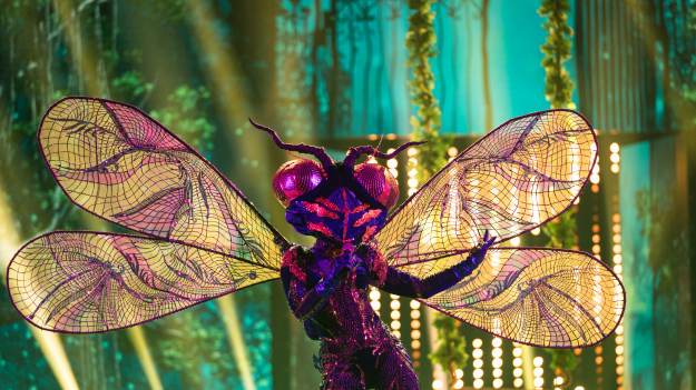 RMF Extra: "Mask Singer". Uczestnicy drugiego odcinka. Kim są Ważka, Ośmiornica, Bocian? [ZDJĘCIA]