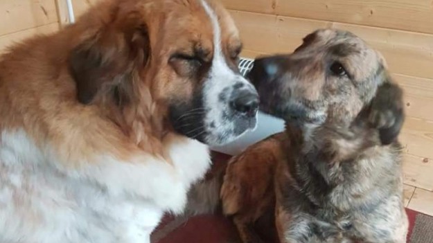 RMF Extra: Puste brzuchy i choroby nie poczekają na koniec pandemii!