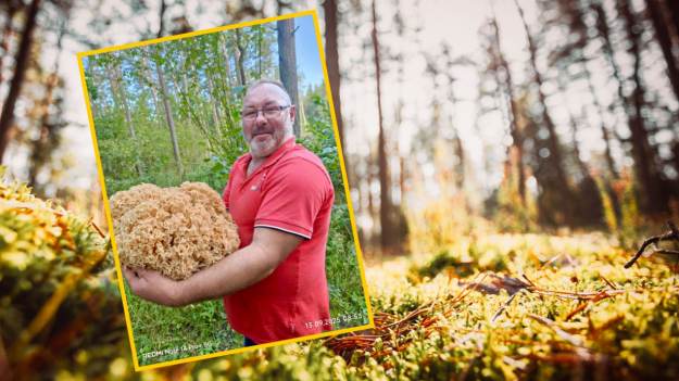 RMF Extra: Polak znalazł gigantycznego grzyba! Ważył ponad 4 kg