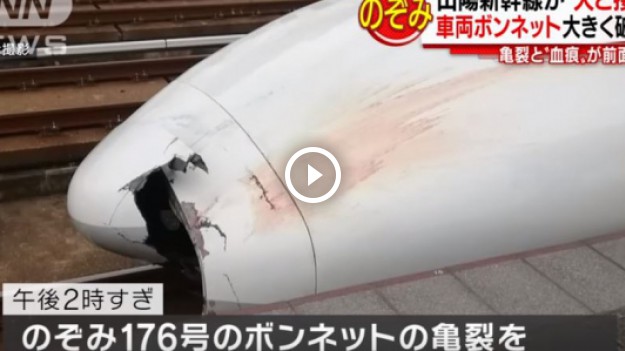 RMF Extra:  Superszybki pociąg wiózł fragmenty zwłok przez 32 kilometry. Nikt się nie zorientował