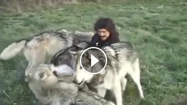 RMF Extra: Tańczący z wilkami! 