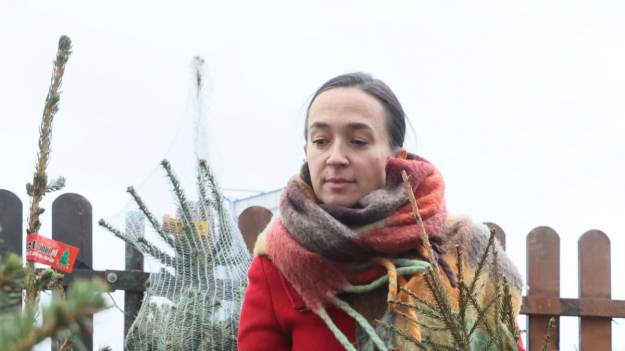 RMF Extra: Sposoby na przedłużenie żywotności choinki