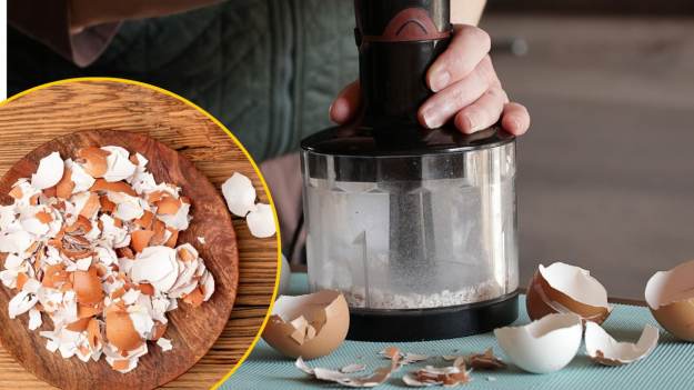 RMF Extra: Czy można jeść skorupki jaj? Cała prawda o kontrowersyjnym trendzie