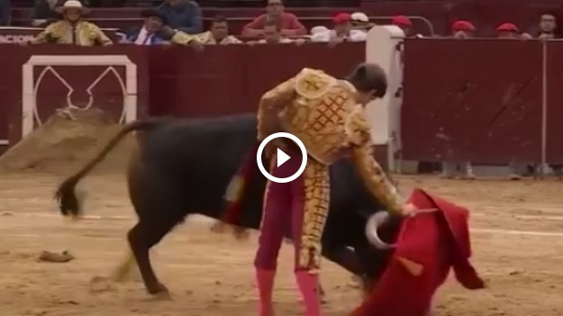 RMF Extra: Toreador zaatakowany przez 500-kilogramowego byka! Zobacz przerażające nagranie