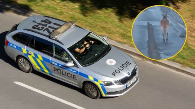 RMF Extra: Hopsający uciekinier. Policjanci ruszyli w pościg 