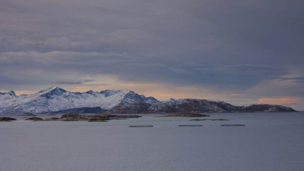 Na tej norweskiej wyspie czas „przestaje..