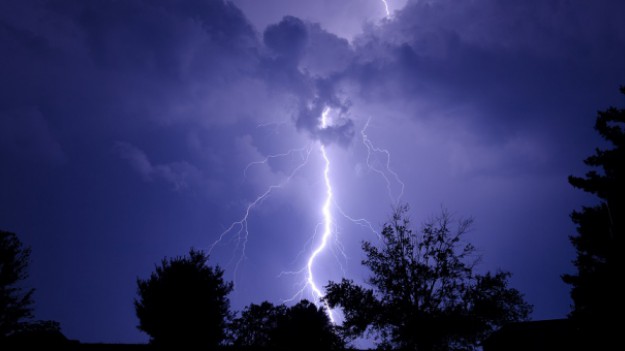 RMF Extra: Zdjęcia "drzewa spaghetti" obiegły sieć. Piorun odsłonił niezwykłe wnętrze pnia! [FOTO]