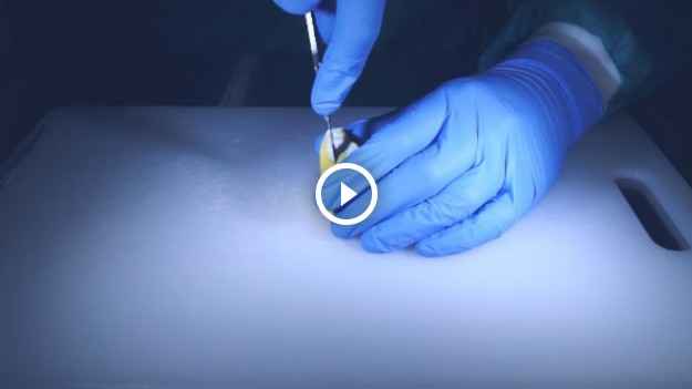 RMF Extra: Chirurgiczna precyzja w kuchni