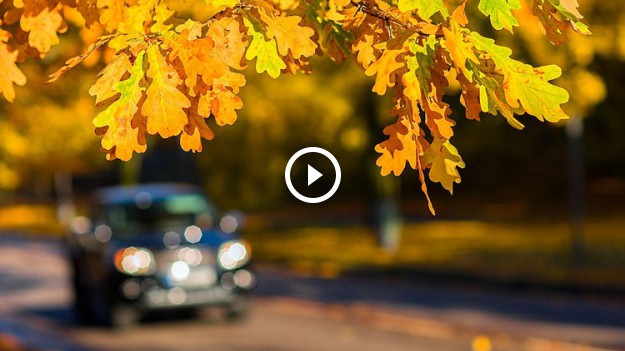 RMF Extra: Zobacz, za co możesz dostać mandat jesienią!