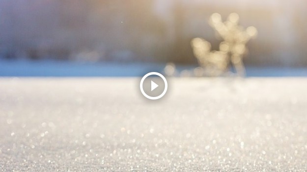 RMF Extra: Sporty zimowe to świetna zabawa nie tylko dla ludzi! Zobacz reakcję tego psiaka! [WIDEO]