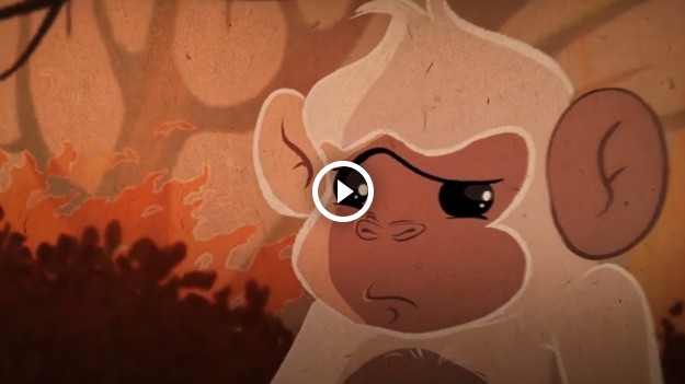 RMF Extra: 3. Kraków Green Film Festival odbędzie się w sierpniu! "Nasza Planeta na to zasługuje"