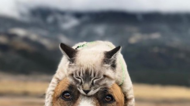 RMF Extra: Para przyjaciół podbija świat - zobaczcie zdjęcia nietypowych podróżników!