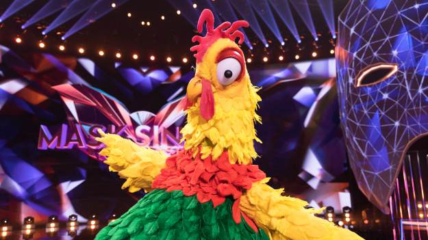 RMF Extra: "Mask Singer". Już jasne, kim jest Kogut? Pojawił się nowy trop. Nie było go w programie!