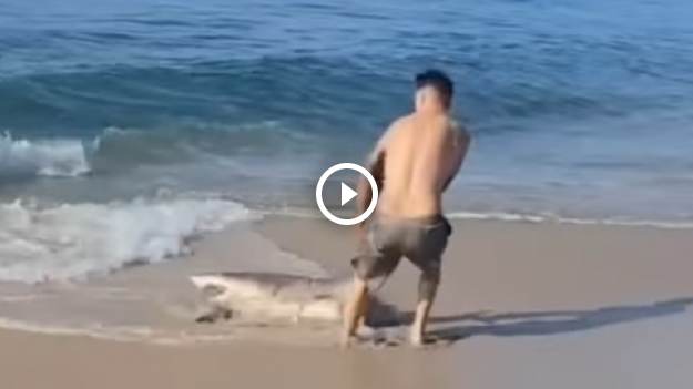 RMF Extra: Mężczyzna wyciągnął rekina z wody gołymi rękami! Wszystko się nagrało! [WIDEO]