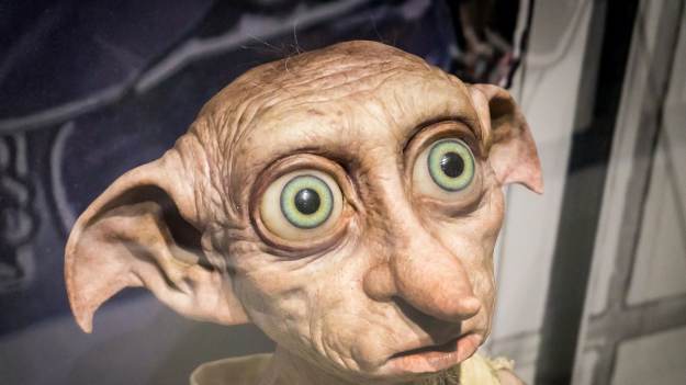 RMF Extra: Co robi dziś Zgredek z "Harrego Pottera"? Filmowcy znaleźli mu ciekawe zajęcie [WIDEO]