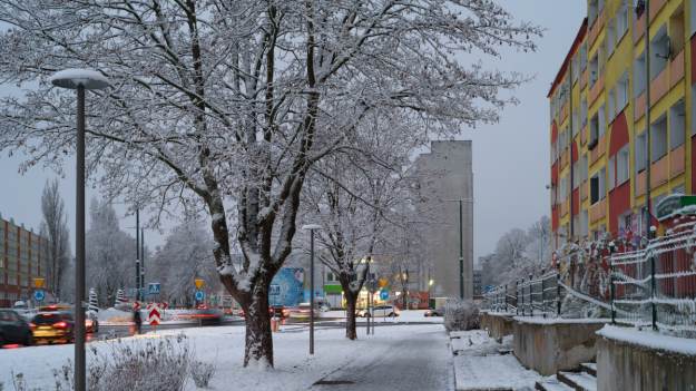 RMF Extra: Zima powraca? Najpierw silny wiatr, później intensywne opady śniegu