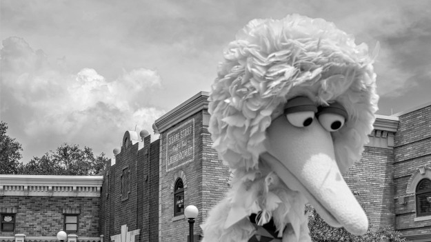 RMF Extra: Caroll Spinney nie żyje. Odtwórca roli Wielkiego Ptaka z Ulicy Sezamkowej zmagał się z chorobą