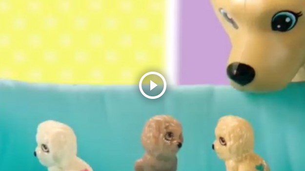 RMF Extra: Barbie: Firma pokazuje rozród psów!