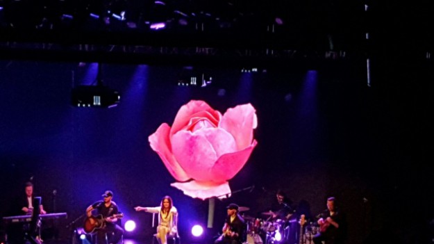 RMF Extra: Blue Cafe tylko dla kobiet!  Wczoraj odbył się fantastyczny koncert zespołu! 