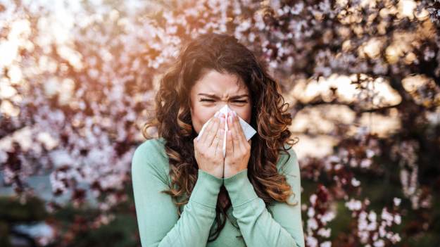 RMF Extra: Co pyli w kwietniu? Przewodnik po alergenach sezonowych