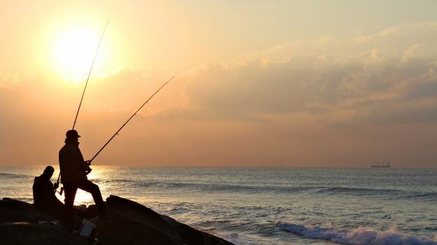 RMF Extra: W czasie spaceru natknęli się na ogromną ośmiornicę [FOTO]