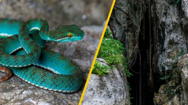 RMF Extra: Natura tworzy tu własne eksperymenty. Człowiek nie zaglądał do tych jaskiń przez lata!