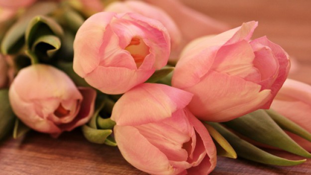 RMF Extra: Dzień Matki już jutro! Podpowiadamy, co kupić na prezent