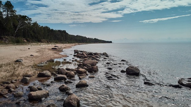 RMF Extra: Szokujące znalezisko na plaży. To zwierzę jest ogromne! [WIDEO]