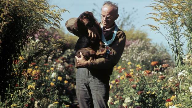 RMF Extra: 20 lat temu pożegnaliśmy wizjonera. Miał... najwyższe IQ w południowej Polsce 