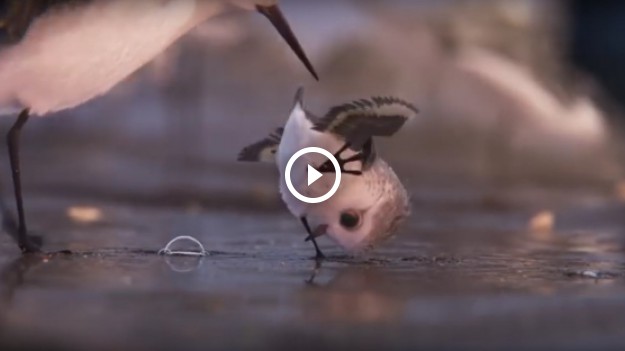 RMF Extra: Disney przedstawia nowego, uroczego bohatera!