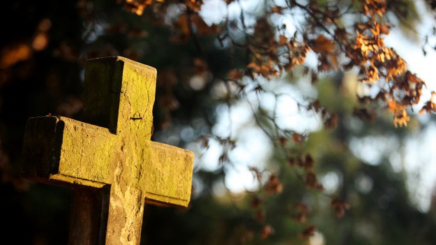 RMF Extra: Gwiazda polskiej telewizji otruta? Wyniki badań toksykologicznych dały odpowiedź 