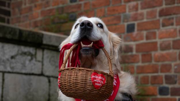 RMF Extra: WOŚP z nowym celem – Jerzy Owsiak ogłasza szczegóły 34. finału 