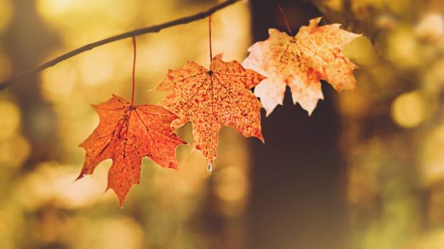 RMF Extra: Jaka będzie pogoda w tym tygodniu? Synoptycy nie mają dobrych wieści