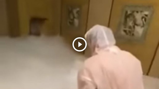 RMF Extra: Urodziny blogerki z tragicznym finałem. Zginęły 3 osoby, w tym mąż solenizantki