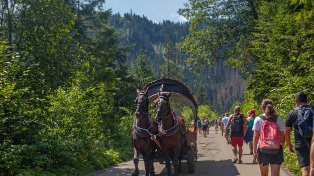 RMF Extra: Spór o konie nad Morskie Oko trwa. Woźnice zlecili badania, by wykazać, że zwierzęta nie są przeciążone