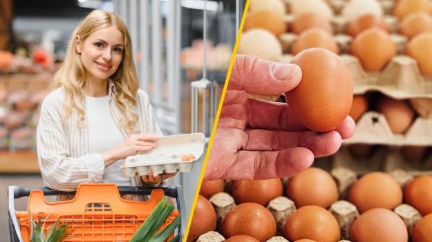 RMF Extra: Oszukane jajka w sklepach? To ważna informacja dla klientów. Co zrobić, by nie stracić pieniędzy? 