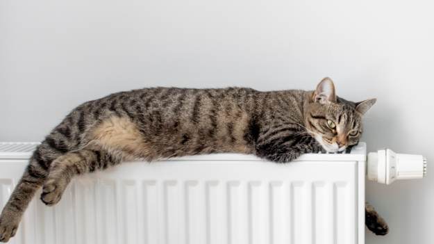 RMF Extra: Oto najlepsza temperatura w mieszkaniu podczas zimy. Naukowcy wskazali 